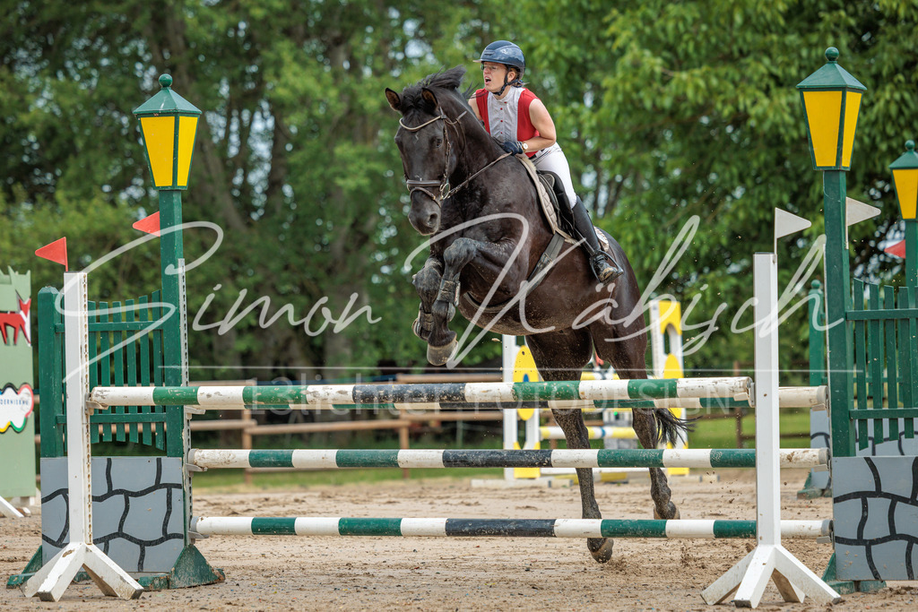 20260530-_3LI2423 | Tierfotografie Pferde, Hunde, Katzen, Haustiere.
Turnierfotografie Reitturniere, Reiten, Springreiten, Dressur in Hanau, dem Main-Kinzig-Kreis und dem Rhein-Main- Gebiet um Frankfurt