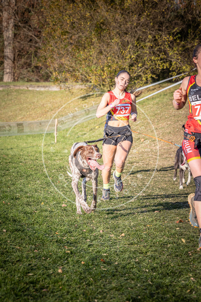 CaniXpix_0L8A9810 | Hundefotografie, Tierfotograf, Pfotenfotografie, Fotoshooting Hund, Hunde Portrait, Hundesport, Hundeportraits, Heideshooting, Hunde, Sportfotograf, Hundefotograf, Turnierhundsport, THS,  - Realisiert mit Pictrs.com