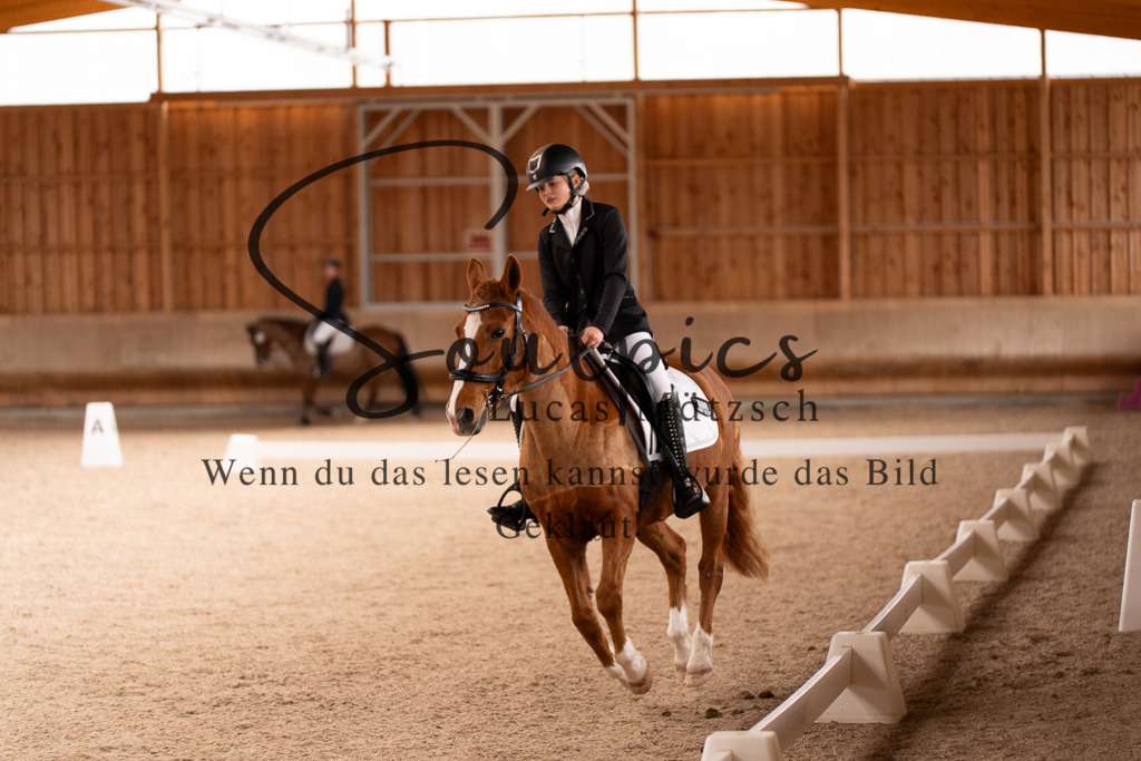 A7506931 | Turnier/Reitfotograf