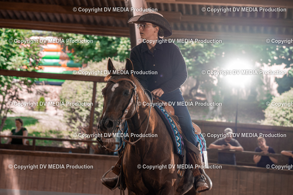 NE100536 | dv-media-shop - Realisiert mit Pictrs.com