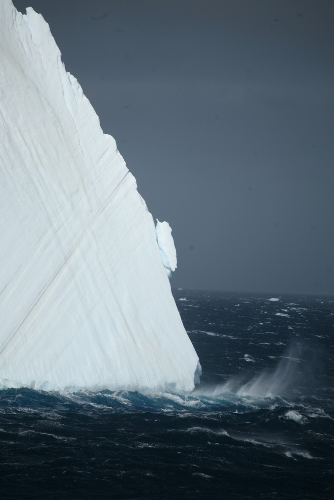 IMG_8553 | Antarktis / Antarctica - Realisiert mit Pictrs.com