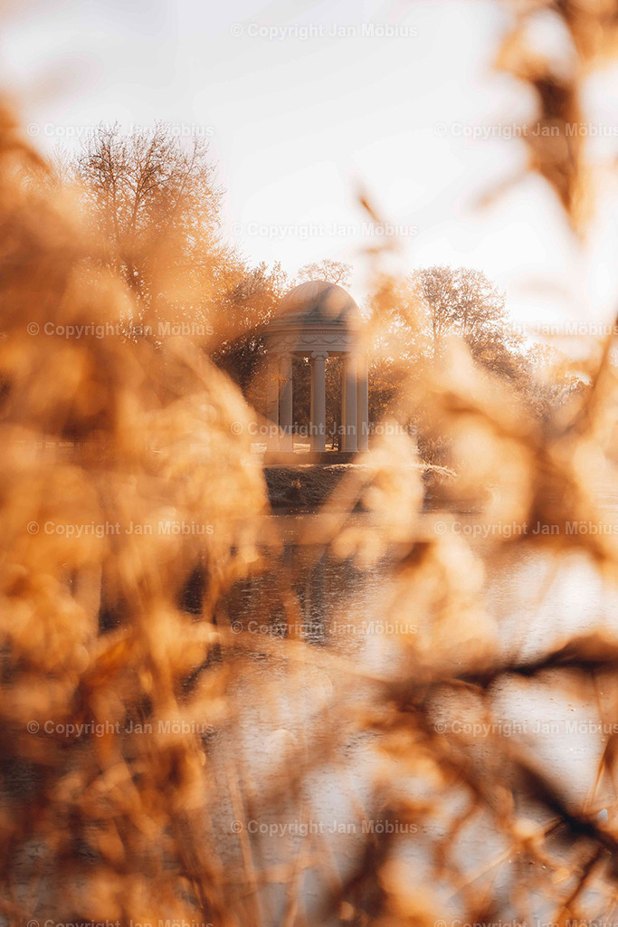 _DSC5147 | Leipzig Wandbilder Drucke Prints Leinwand Stadtmotive Leipzig Fotosdruck Kunstdrucke Bilder Leipzig Stadtansichten Acrylglasbilder Leipzig Wanddeko Fine Art Prints Wandbilder Büro Leipzig Bilder Praxis Zuhause Bilderdruck Poster Posterlounge Kunstdrucke - Realisiert mit Pictrs.com