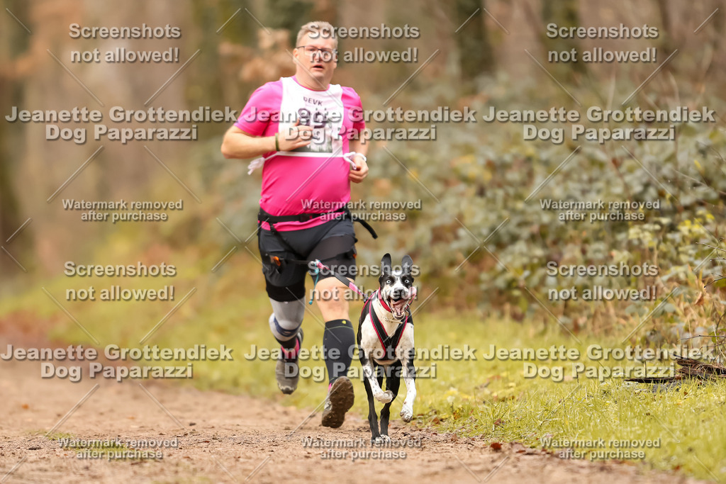 Dog Paparazzi - Speedhunter Mannheim  2025-250 | Dog Paparazzi Jeanette Grottendiek Fotografie & Videografie