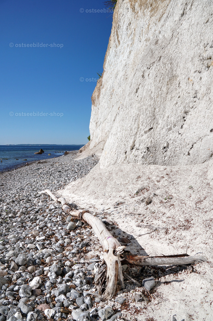 Kreidebleich am Strand | Am Fuße des Kliffs zwischen Steinestrand und Kreidefelsen färben sich angespültesTotholz und Flintsteine in der hellen Farbe der Kreide. 