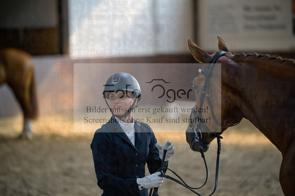 Reitturnier Voxtrup | Entdecke hochwertige Reitturnierfotos von Foto Oger. Professionell, emotional und authentisch – jetzt Lieblingsmomente im Shop bestellen.Deutschlandweite Turnierfotografie. - Realized with Pictrs.com