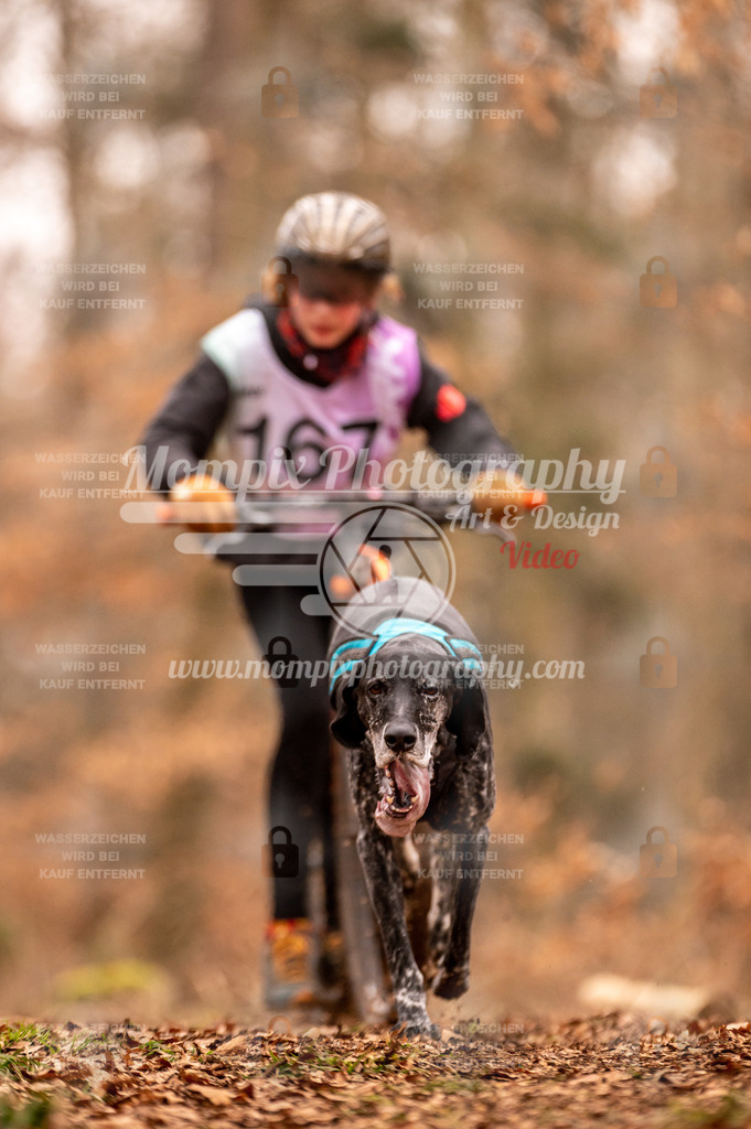 AKM_ST_2023_SAM_Scooter-32 | PayLife