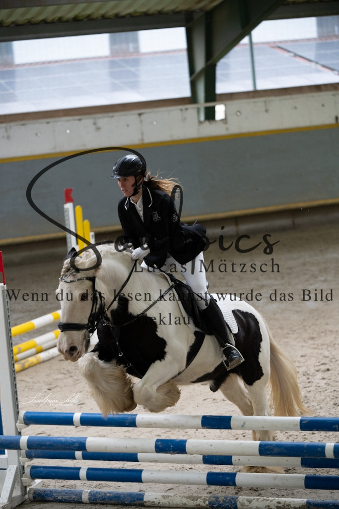 A7V00933 | Pferdefotograf