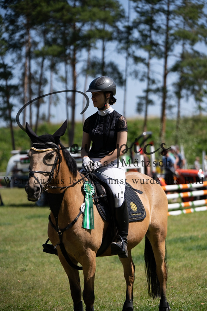 A7V05777 | Pferdefotograf