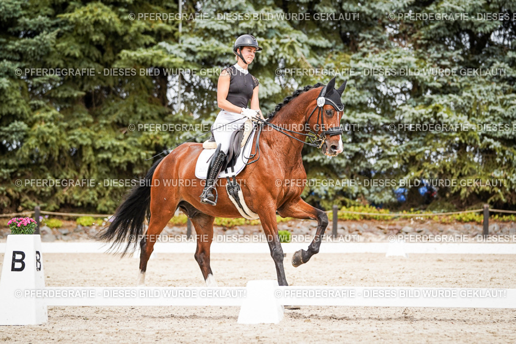 DSC05926 | Pferdegrafie