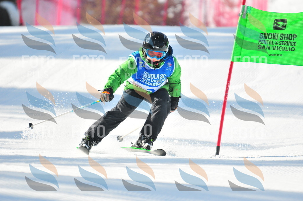 B8781 | holidayphoto