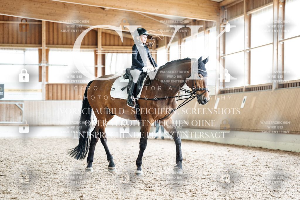 CK900786 | Turnierfotografie Pferdefotografie Trier Rheinland-Pfalz Pferdesport Reitsport Tierfotografie Sportfotografie Pferdevideo Pferdevideografie Equestrianvideography equestrianphotography  - Realisiert mit Pictrs.com