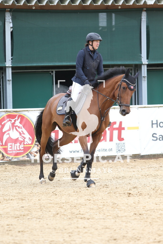 DL2Q1518 | Willkommen bei Brunnmayr - Design & Fotografie – Ihrem Spezialisten für Reitturniere und Pferdeveranstaltungen in Oberösterreich, Salzburg und Bayern! Seit über 17 Jahren sind wir leidenschaftlich dabei.