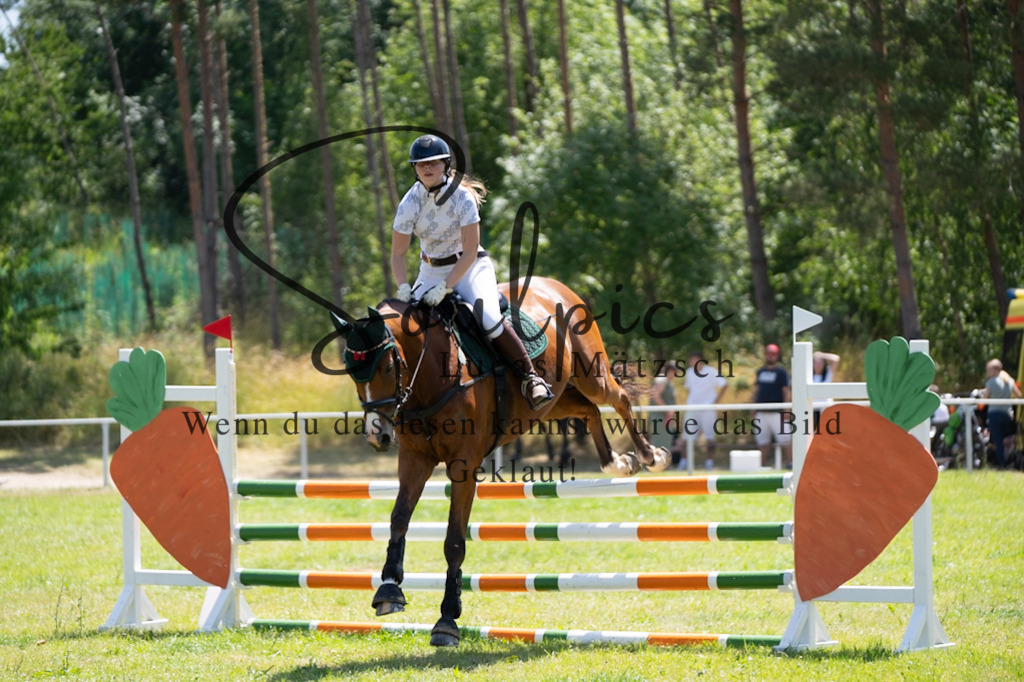 A7V06027 | Pferdefotograf