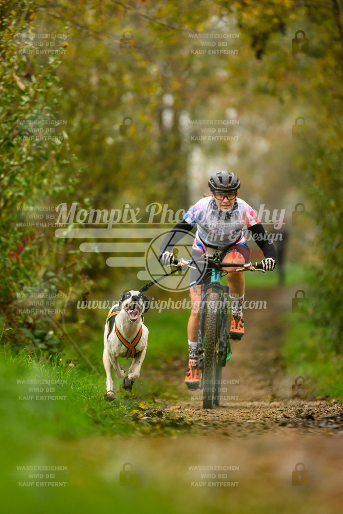 MompixPhotography_20TSB_E6_Bike-42 | PayLife