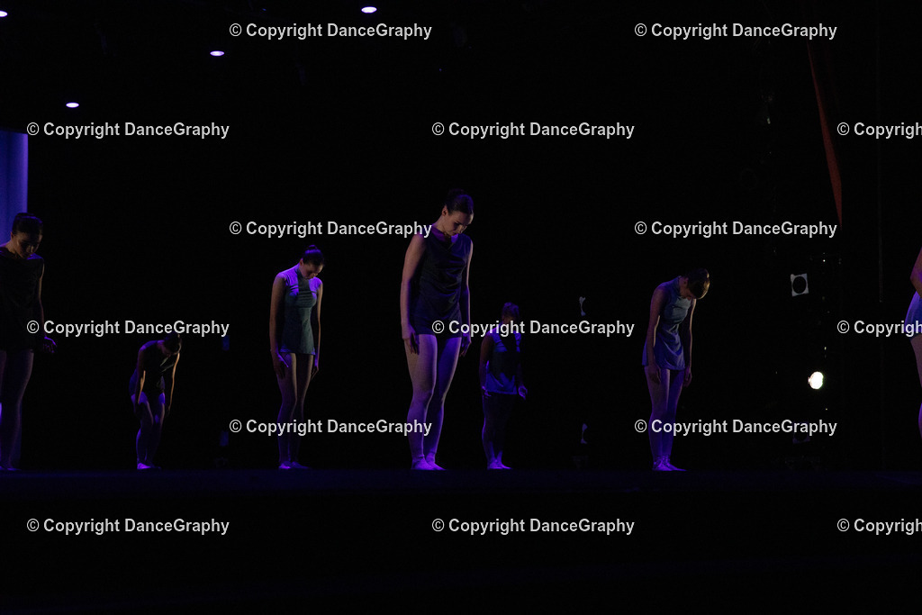 GPHY4566 | DanceGraphy - Realisiert mit Pictrs.com