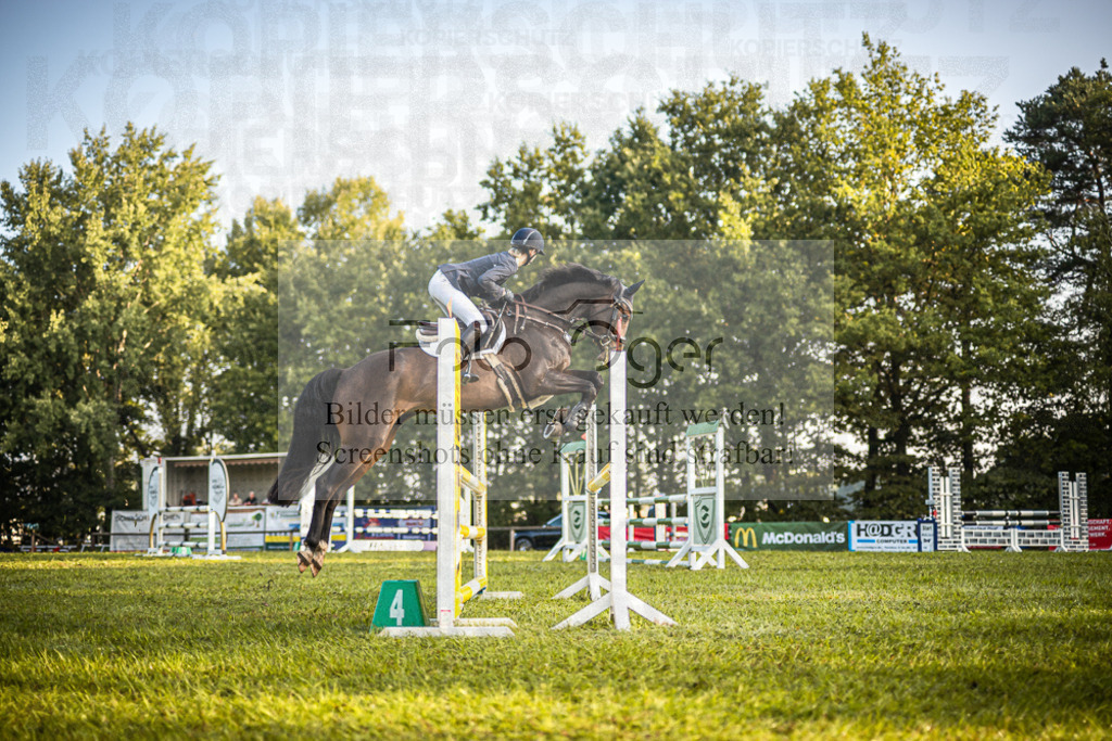 Z63_0173 | Entdecke hochwertige Reitturnierfotos von Foto Oger. Professionell, emotional und authentisch – jetzt Lieblingsmomente im Shop bestellen.Deutschlandweite Turnierfotografie. - Realisiert mit Pictrs.com