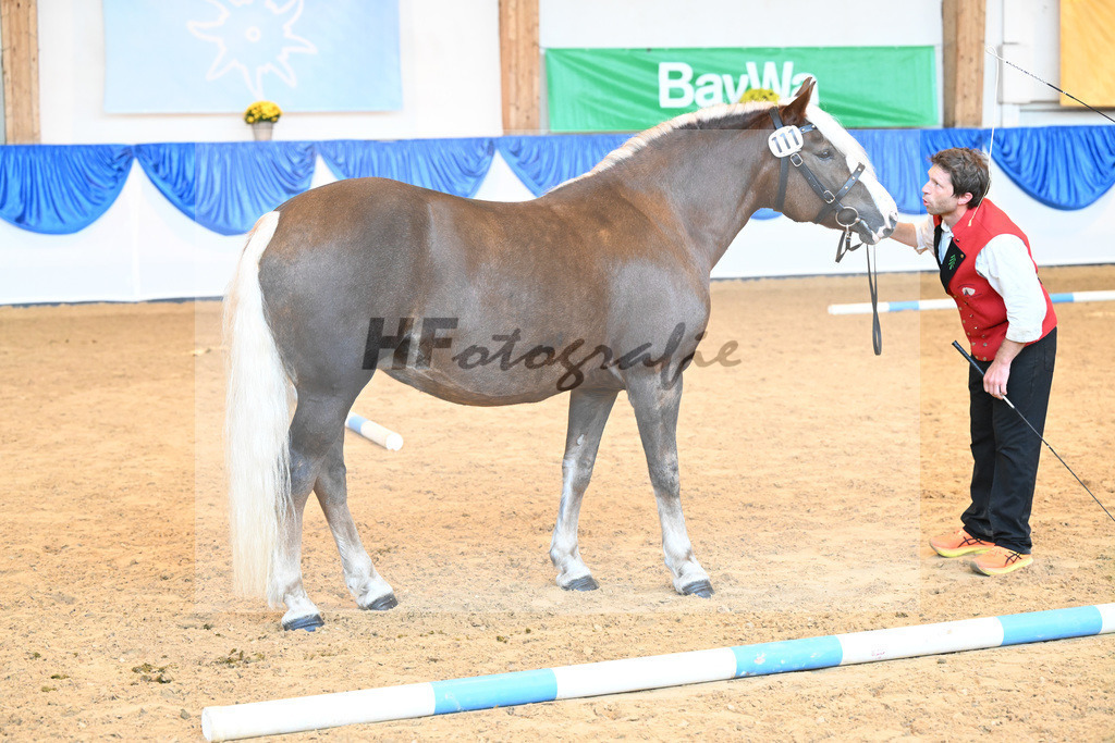 Kat-Nr. 111 Feine Lioba_ZG Schmidt-Schroeder_53220791 | hf-fotografie - Realizzato con Pictrs.com