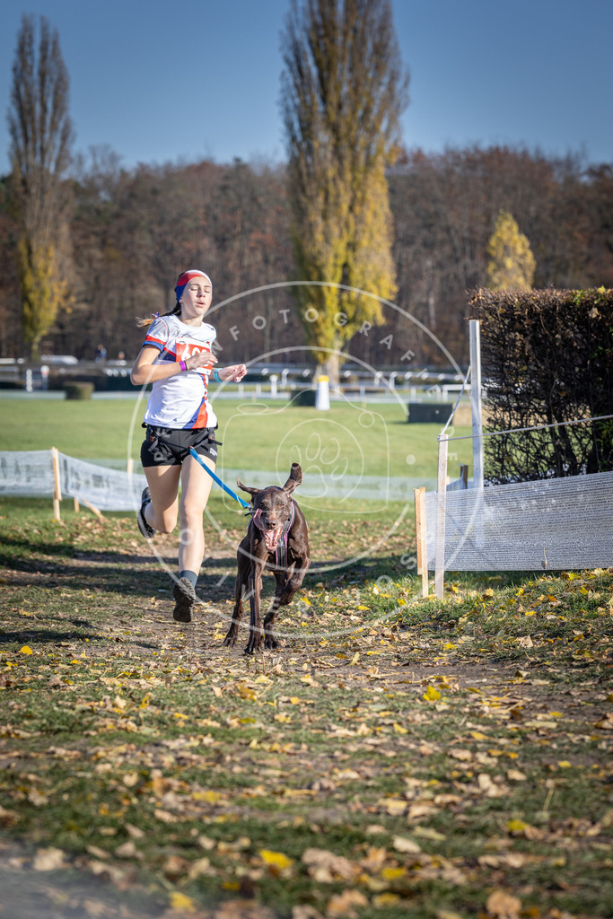 CaniXpix_DV3A9471 | Hundefotografie, Tierfotograf, Pfotenfotografie, Fotoshooting Hund, Hunde Portrait, Hundesport, Hundeportraits, Heideshooting, Hunde, Sportfotograf, Hundefotograf, Turnierhundsport, THS,  - Realisiert mit Pictrs.com
