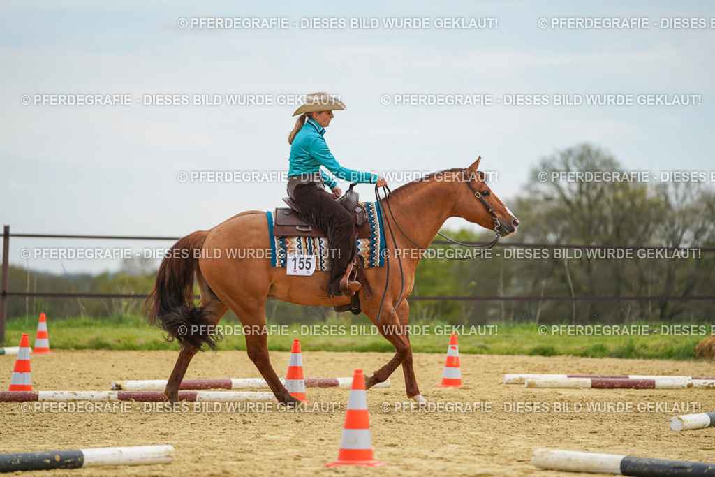 DSC03072 | Pferdegrafie