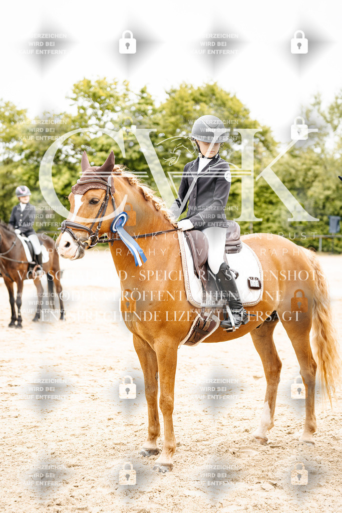CK703667 | Turnierfotografie Pferdefotografie Trier Rheinland-Pfalz Pferdesport Reitsport Tierfotografie Sportfotografie Pferdevideo Pferdevideografie Equestrianvideography equestrianphotography  - Realisiert mit Pictrs.com