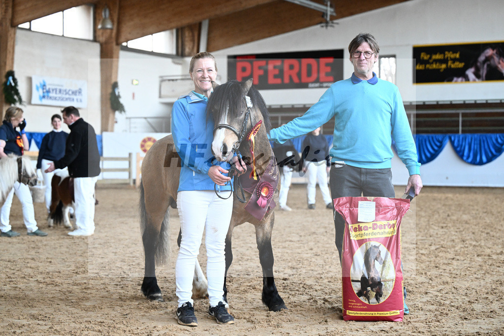 Kat-Nr. 15 Leybucht Bavarian Bailey v. Penymorfa Bailey_Nieberle_9260694 | hf-fotografie - Realisiert mit Pictrs.com