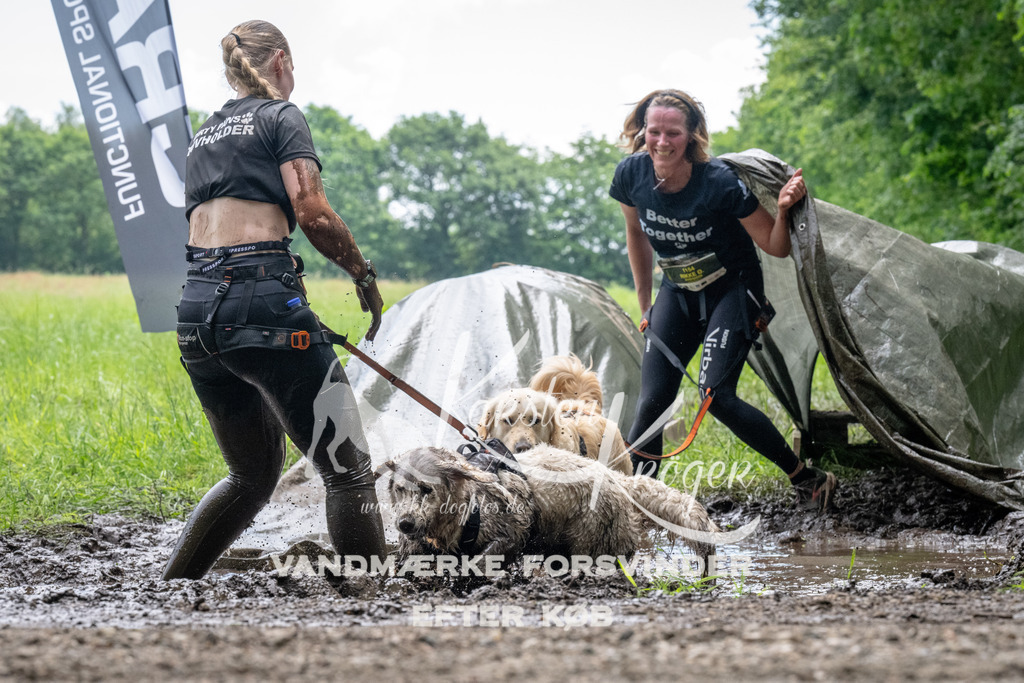 1115_ZZ92152 | kk-dogfotos