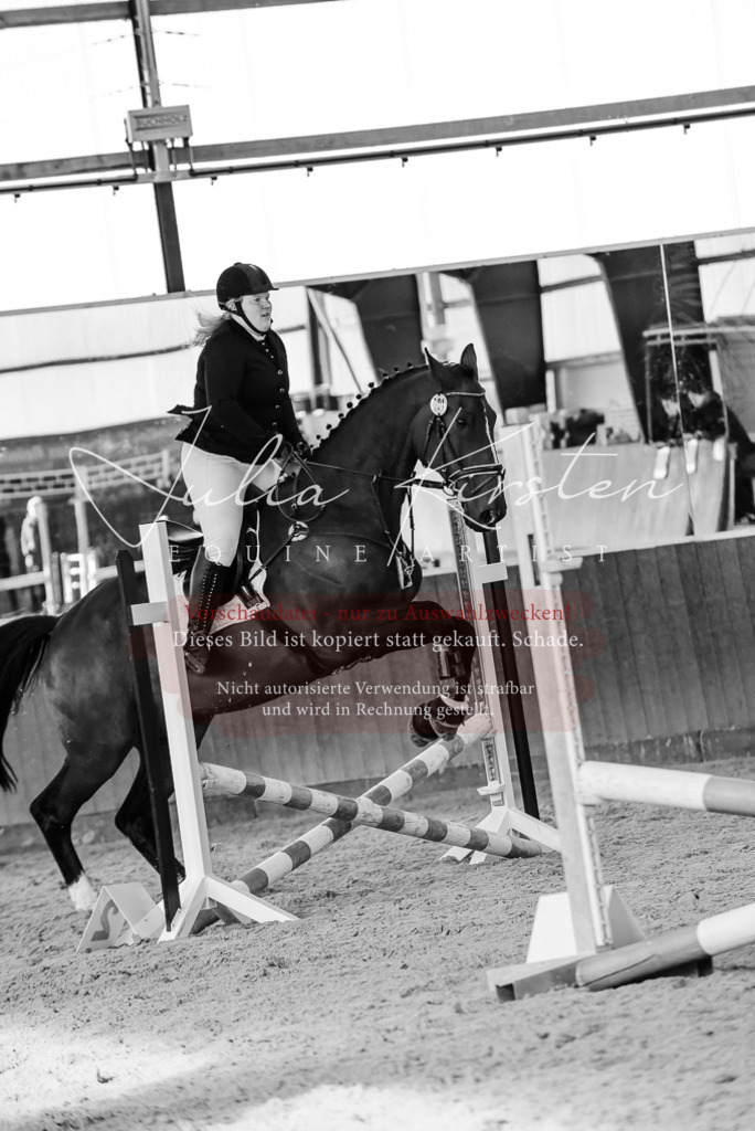 DSC_7478 | Pferde- und Turnierfotografie in Westsachsen. Pferdeportraits, Auftragszeichnungen und intuitive Kunst.