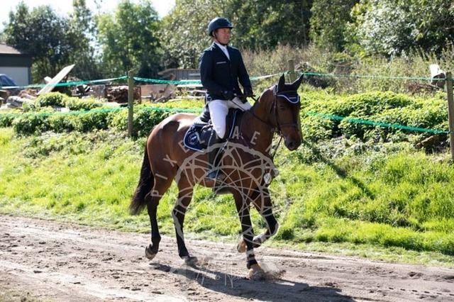 2B4A0319 | pixelfaenger - Realisiert mit Pictrs.com