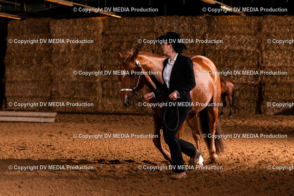 Balingen Tag 1-1383 | dv-media-shop - Realisiert mit Pictrs.com