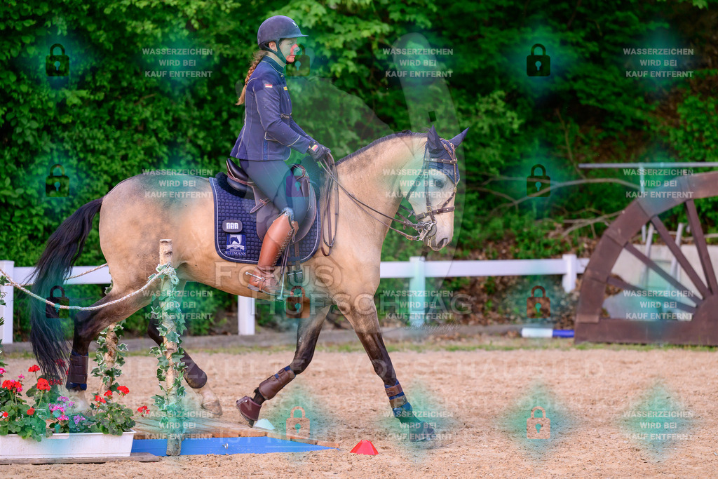 02052026-Giesenbach-03-Speedtrail-1321 | Fokus Hufschlag Fotografie - Realisiert mit Pictrs.com