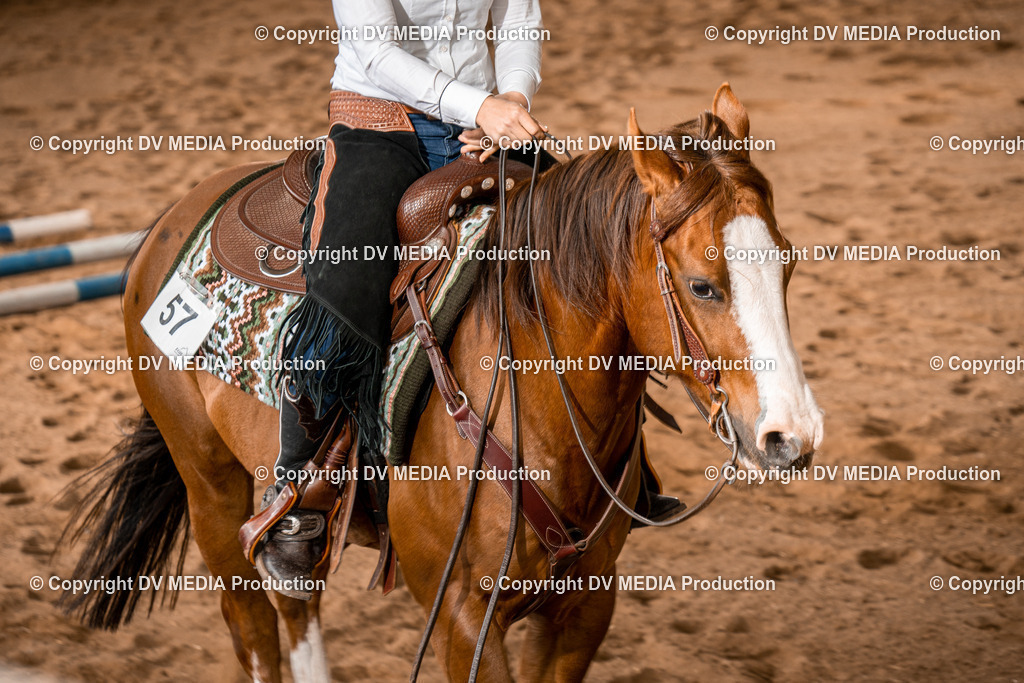 BA400823 | dv-media-shop - Realisiert mit Pictrs.com