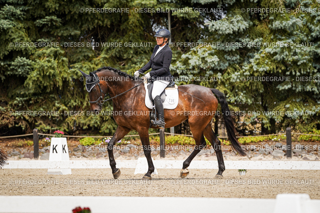 DSC03645 | Pferdegrafie