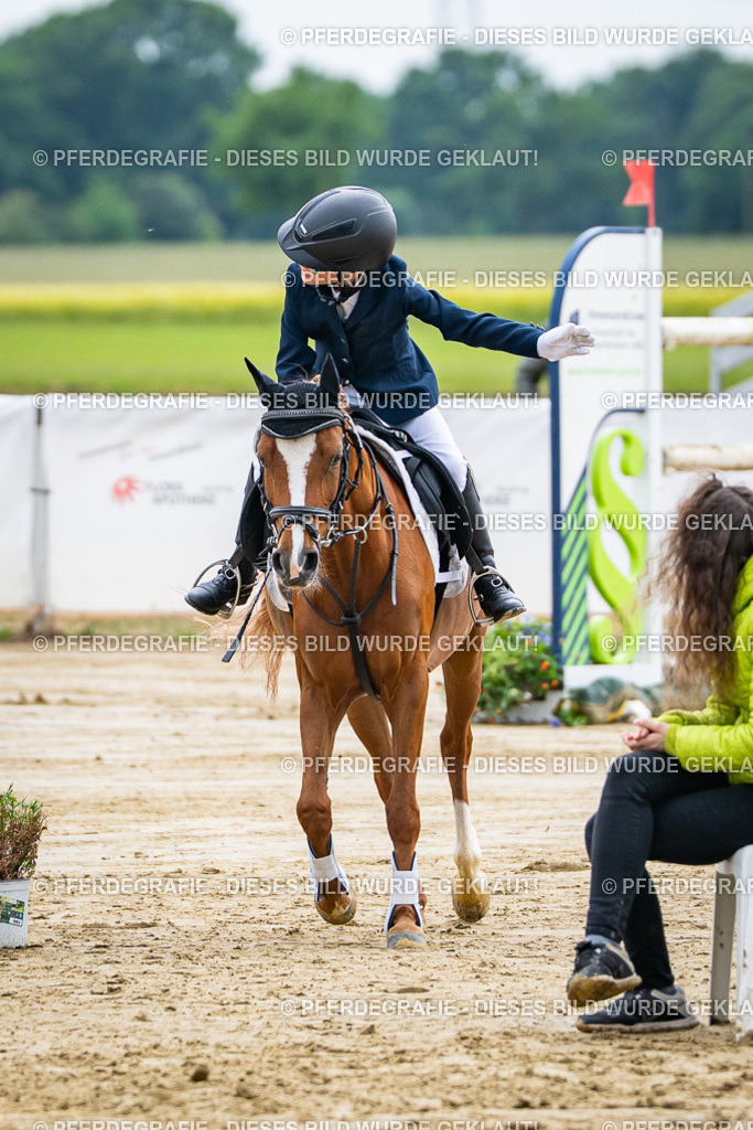 DSC06489 | Pferdegrafie