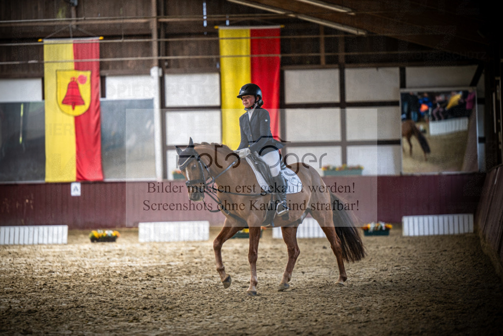 DOS_1193 | Reitturnier Lüdinghausen - Realisiert mit Pictrs.com