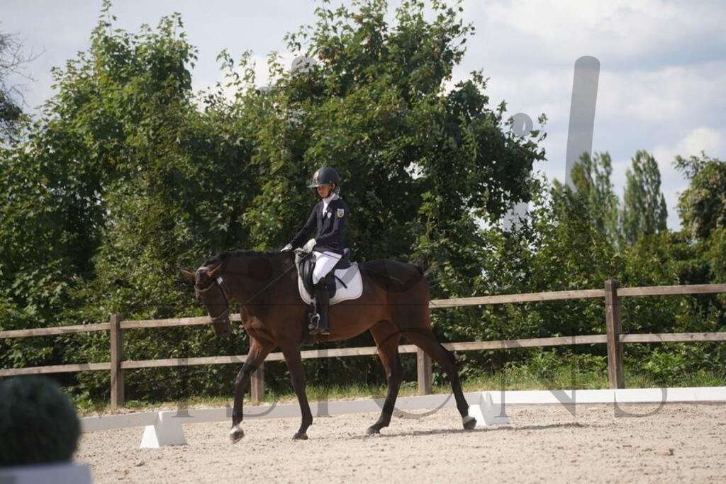 tgbhsamstag (986) | d.tail Visions - Shop - Realisiert mit Pictrs.com