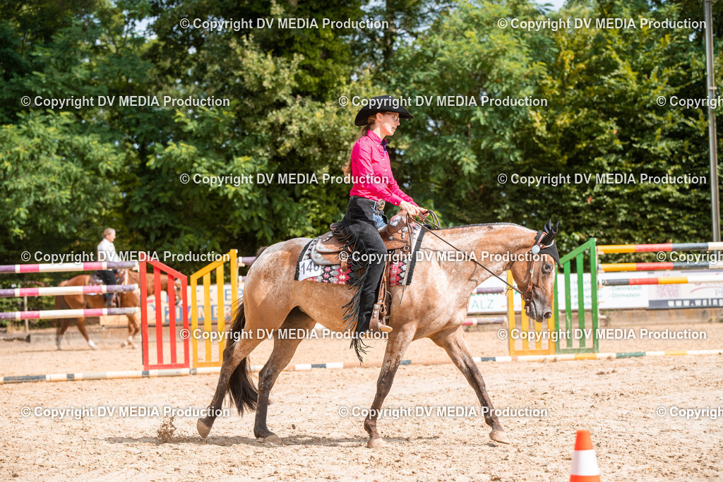 ZS3_9373 | dv-media-shop - Realisiert mit Pictrs.com