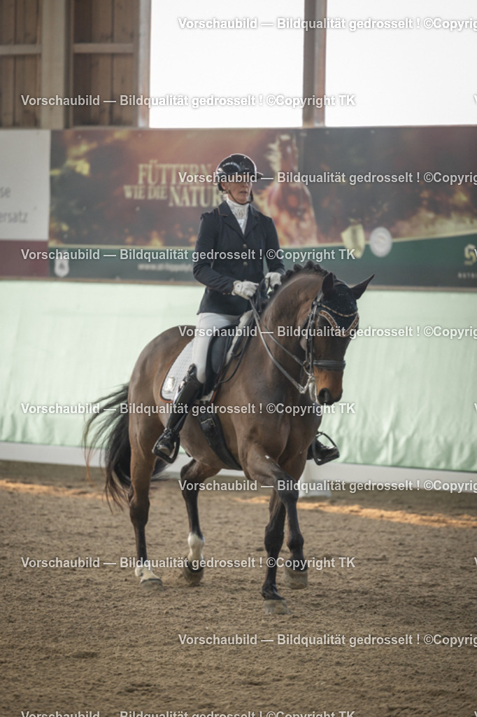 _D5A4019 | Emotionale Pferde- & People-Fotografie rund um Heidelberg, Leimen & Umgebung. Natürliche Fotos von Pferd, Mensch & Familie. Jetzt Termin sichern!