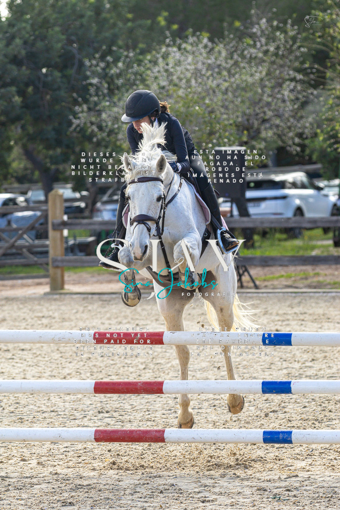 IMG_5168 | s-jay-photography - Realisiert mit Pictrs.com