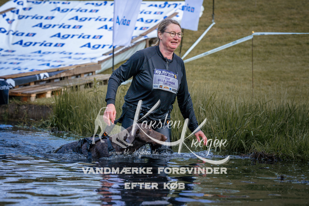 _ZZ969760739 | kk-dogfotos