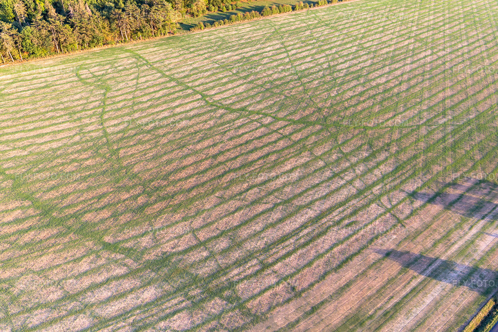 Aerial view: Field structures in Germay in the state Haute Marne, France.Photo: IMG_134320.jpg taken on 09/03/2022 by Werner Riehm/FLY-FOTO.comResolution of the original: 5472 x 3648 px
