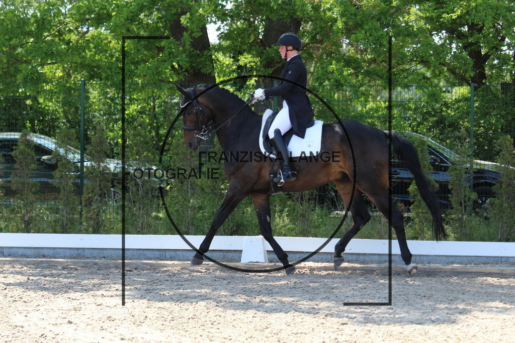 IMG_4695 | franziskalange - Realisiert mit Pictrs.com