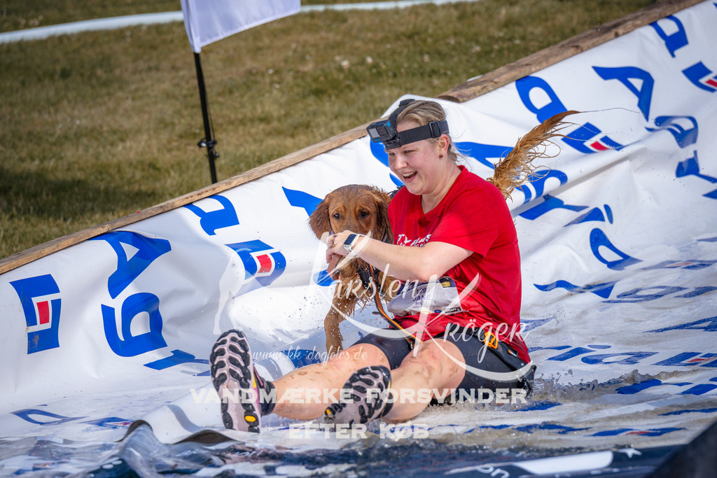 _ZZ982790757 | kk-dogfotos