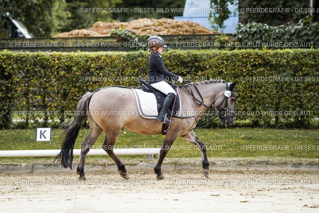 DSC05275 | Pferdegrafie