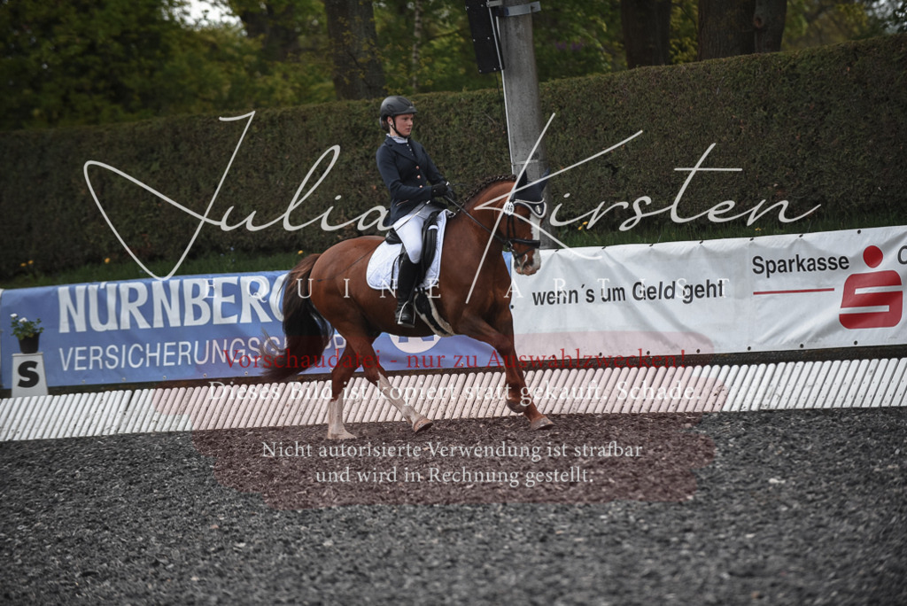 20230513_JK-Röhrsdorf-14-1013 | Pferde- und Turnierfotografie in Westsachsen. Pferdeportraits, Auftragszeichnungen und intuitive Kunst.