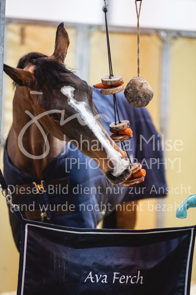 240119_Leipzig_Impressionen-508 | Deine schönsten Turniermomente als professionelle Fotos! Entdecke hochwertige Pferdesport-Fotografie im Online-Shop. Jetzt Fotos finden & bestellen!