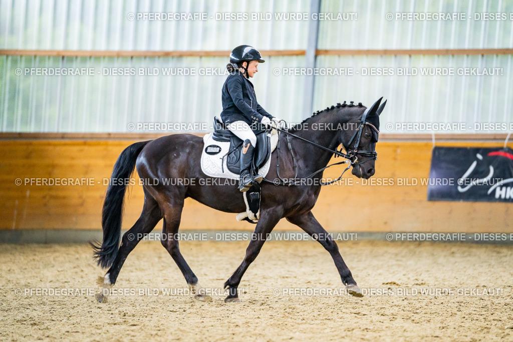 DSC04728 | Pferdegrafie