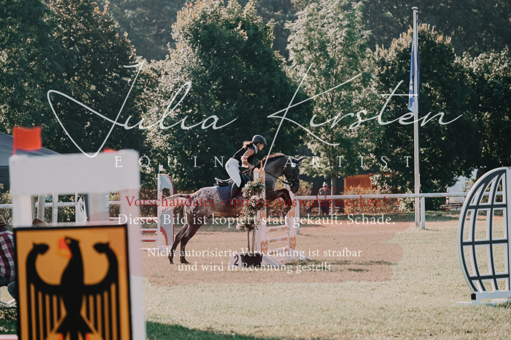 DSC_4483 | Pferde- und Turnierfotografie in Westsachsen. Pferdeportraits, Auftragszeichnungen und intuitive Kunst.