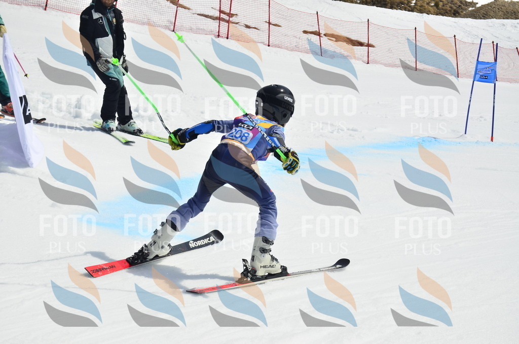 _ELE1440 | holidayphoto