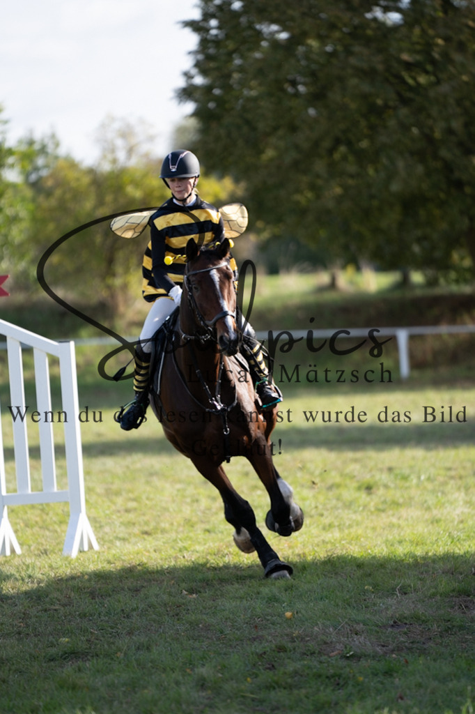 A7V06615 | Pferdefotograf