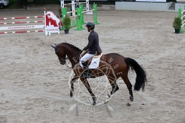 2B4A2608 | pixelfaenger - Realisiert mit Pictrs.com